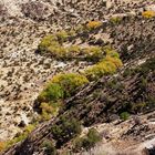 Flußlauf im Grand Staicase Escalante