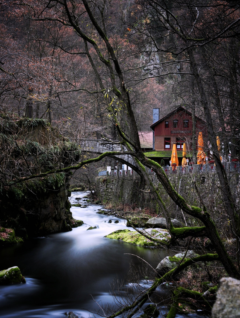 Flußlauf im Harz