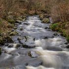 ***     flußlauf im harz.......       ***