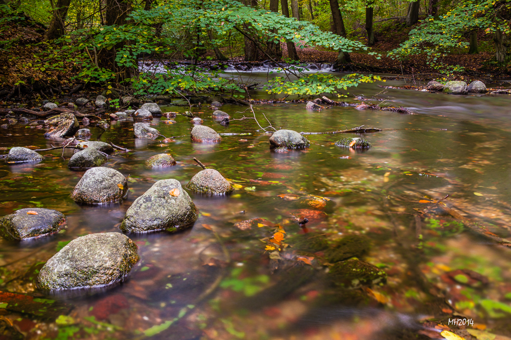 Flusslauf im Herbst