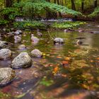 Flusslauf im Herbst