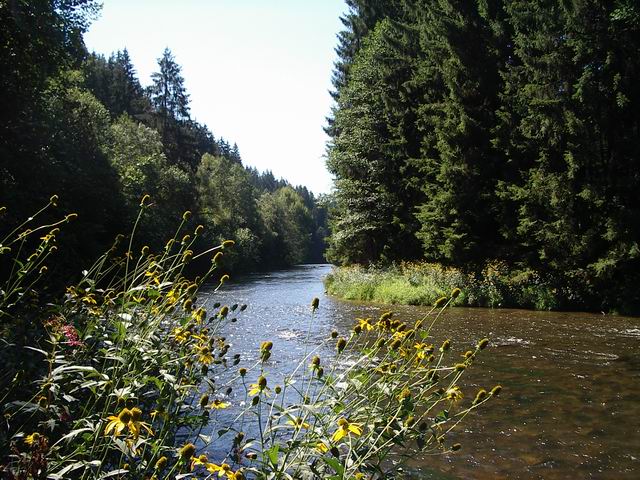 Flußlauf im Herbst