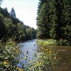 Flußlauf im Herbst