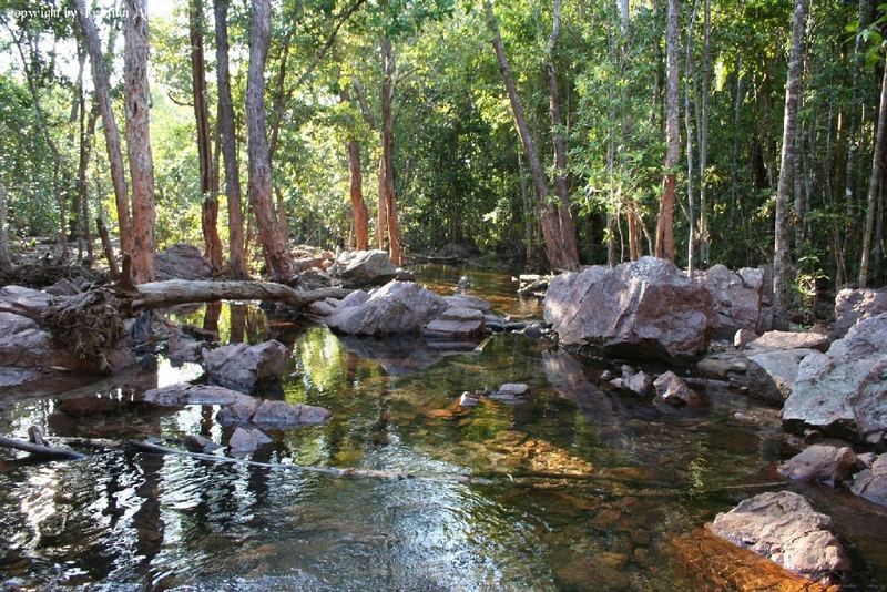 Flußlauf im Litchfield Nationalpark Australien