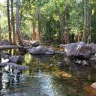 Flußlauf im Litchfield Nationalpark Australien