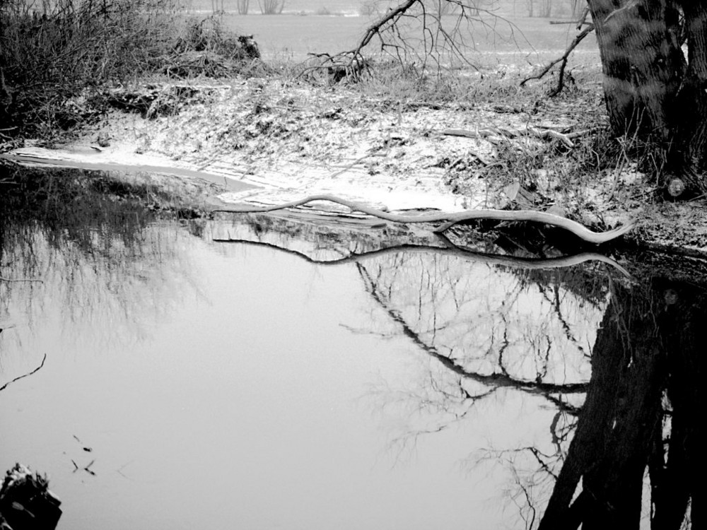 Flußlauf im Winter