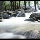 Flusslauf im Yosemite N.P., Kalifornien (USA)