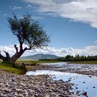 Flusslauf in der Mongolei