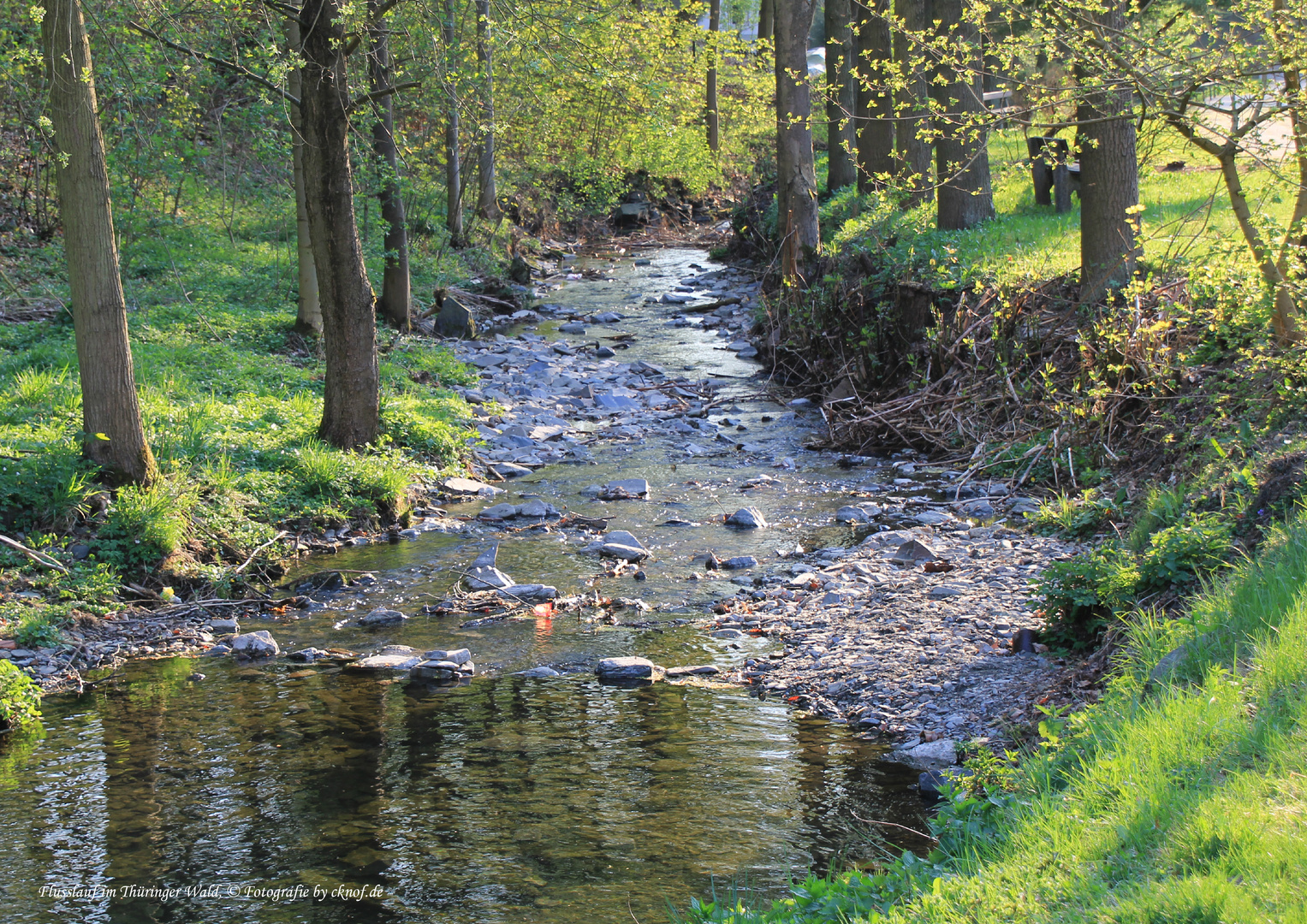 Flusslauf in Thüringen