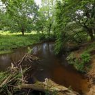 Flusslauf mit Hindernissen