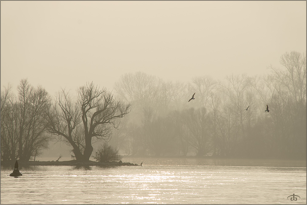 flussleben