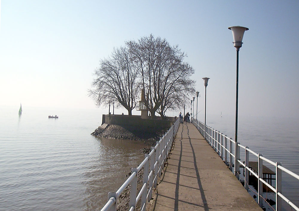 Flussleuchte im Nebel