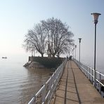 Flussleuchte im Nebel