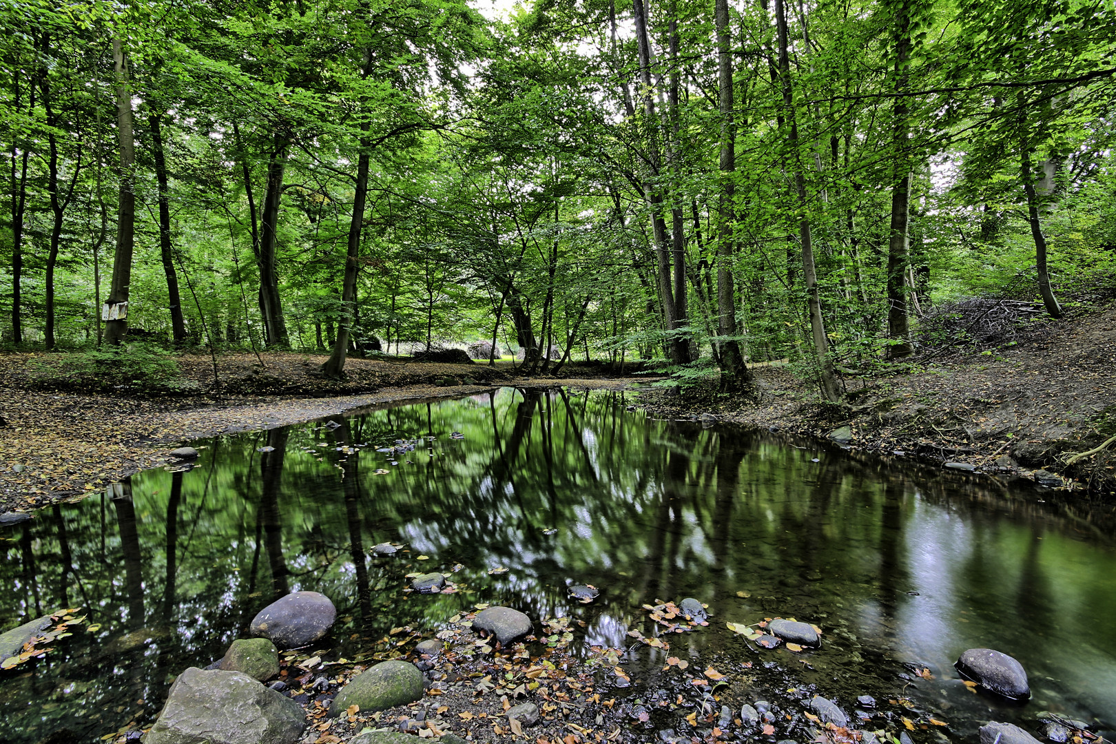 Flussmündung