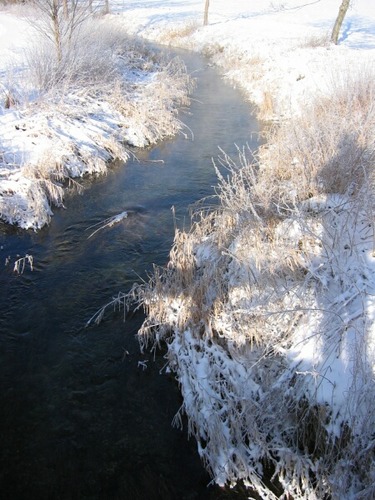 Flussmündung