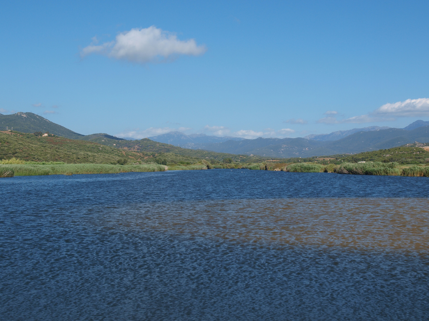 Flussmündung vor Propriano