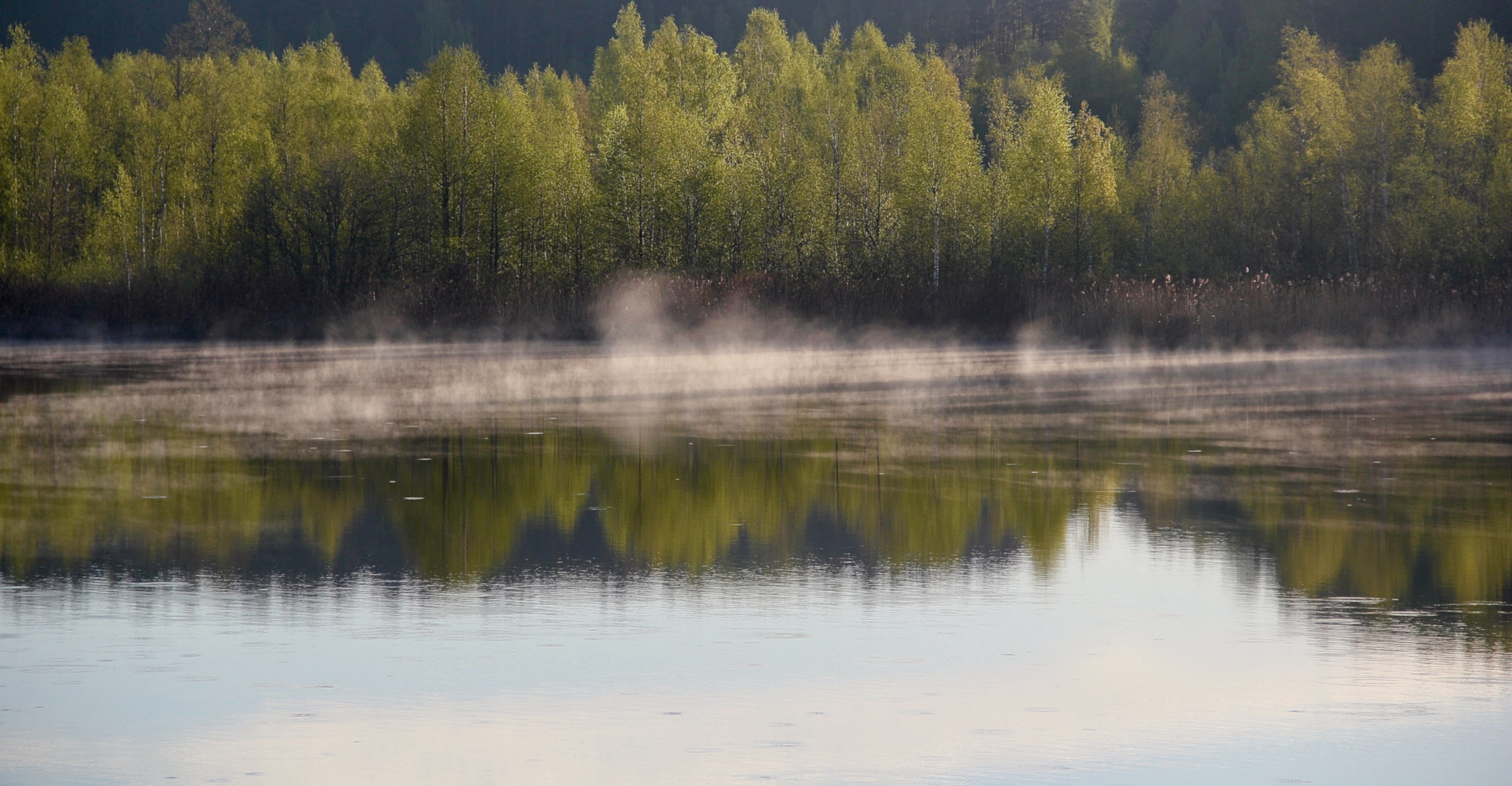 Flussnebel