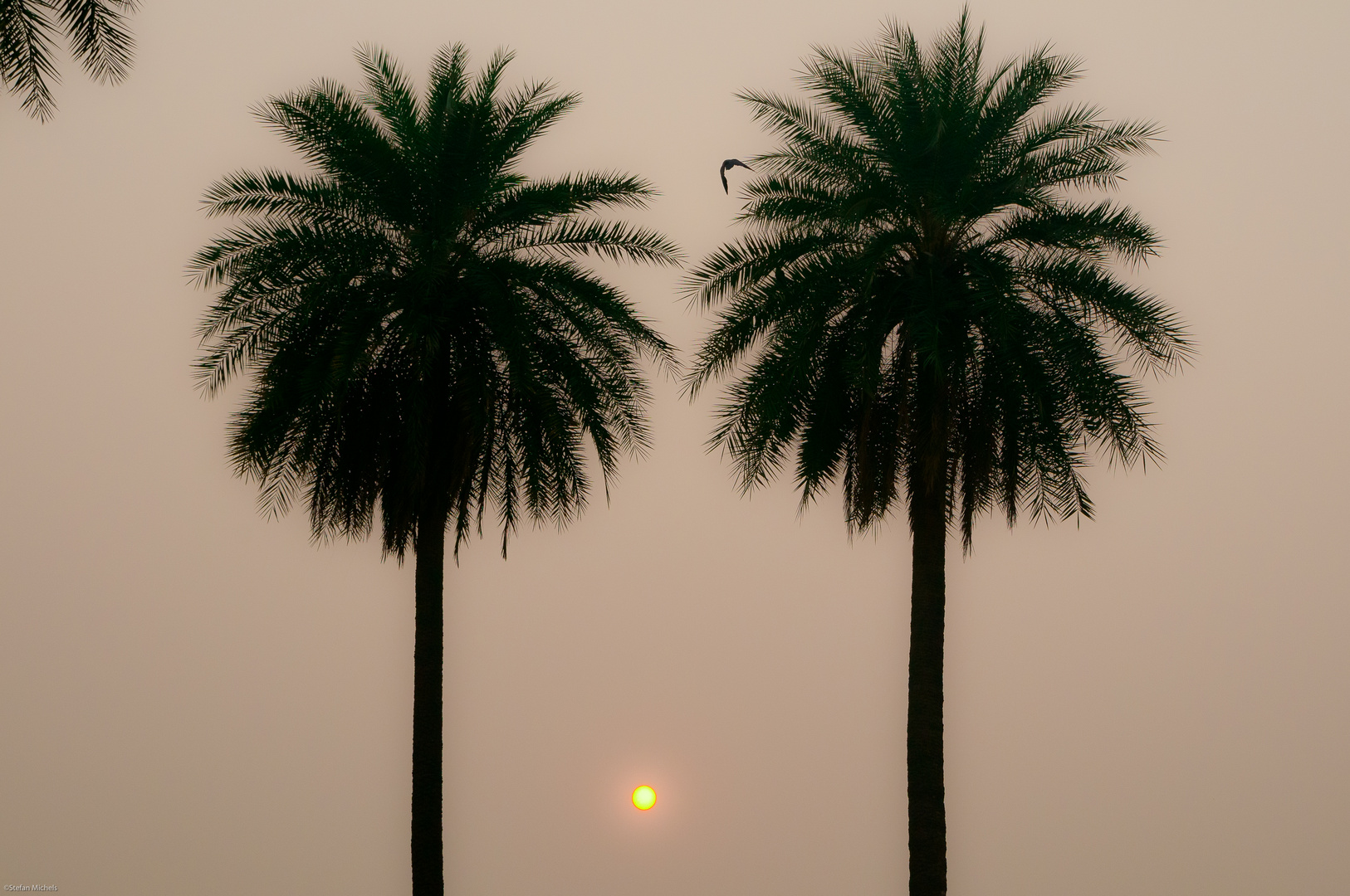 Flussnebel am Yamuna-Fluss, Indien