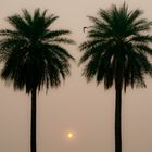 Flussnebel am Yamuna-Fluss, Indien