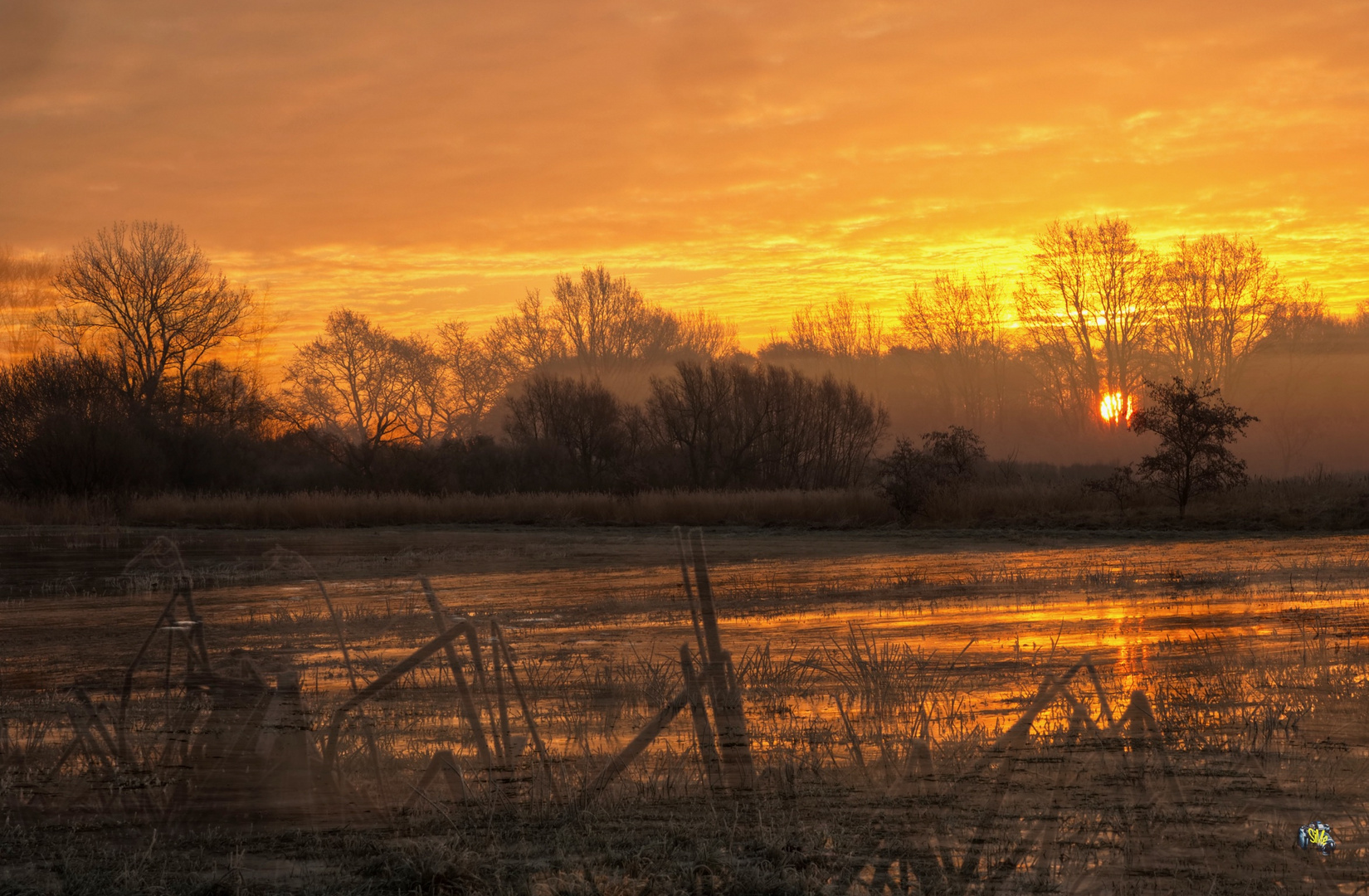 Flussniederungen zur goldenen Stunde Doppelbelichtung 