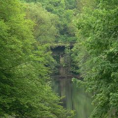 Flußquerung im Urwald