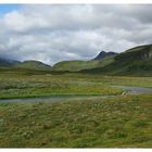 Flussschleife im Fjäll