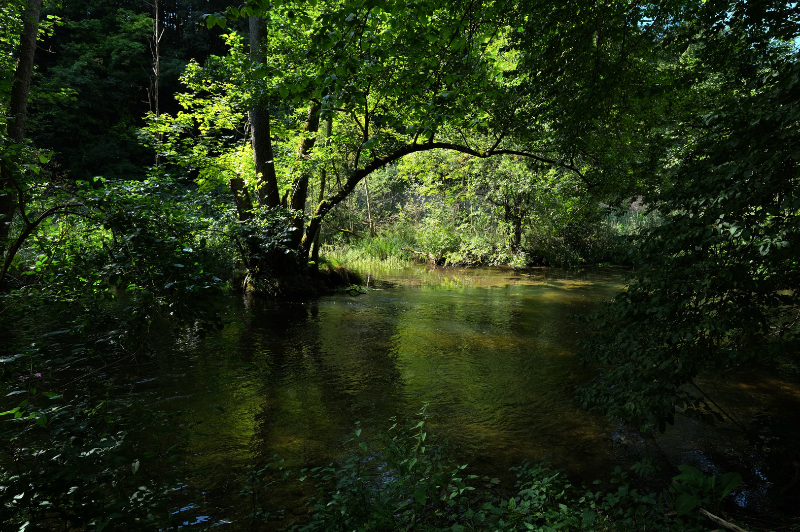 Flußspiegelung