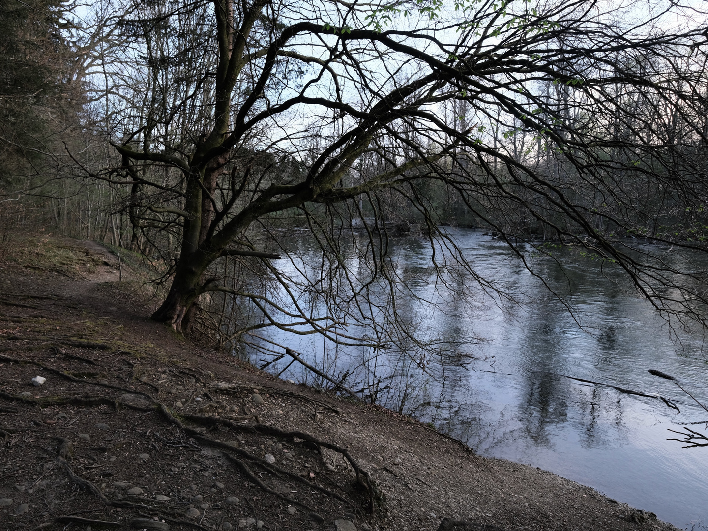 Flußspiegelung am Abend