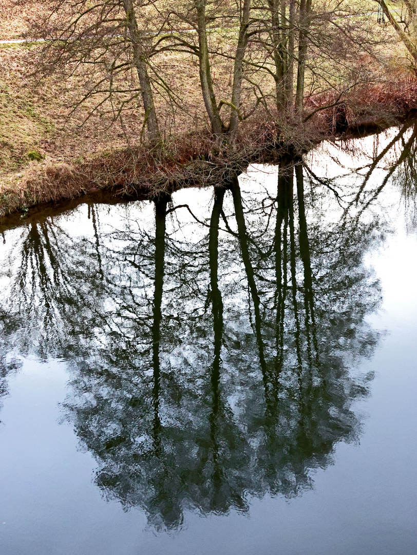 Flussspieglung 