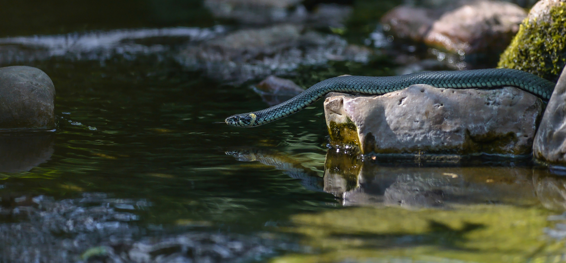 Flussüberquerung ...