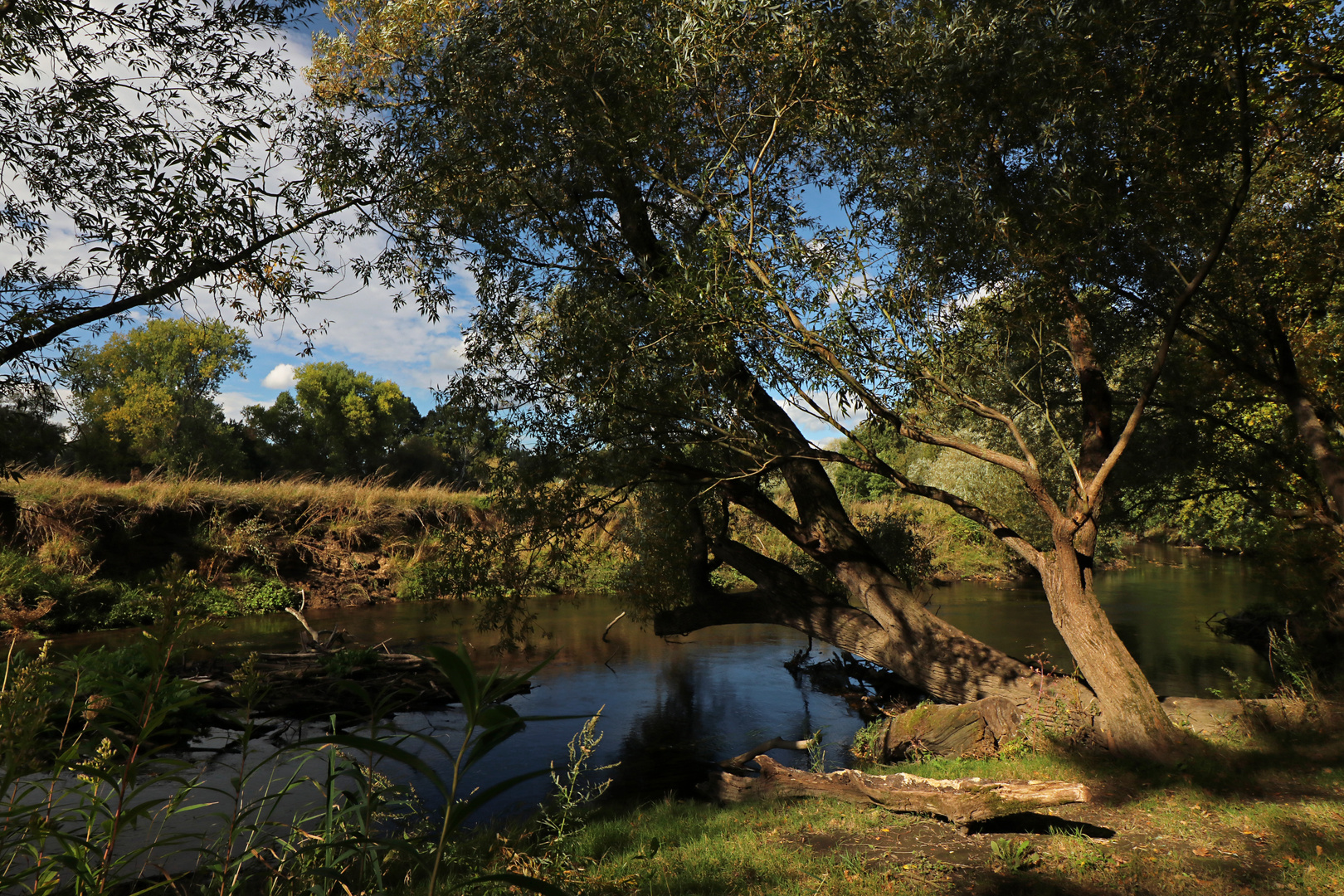 Flussufer im Herbstlicht