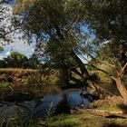 Flussufer im Herbstlicht