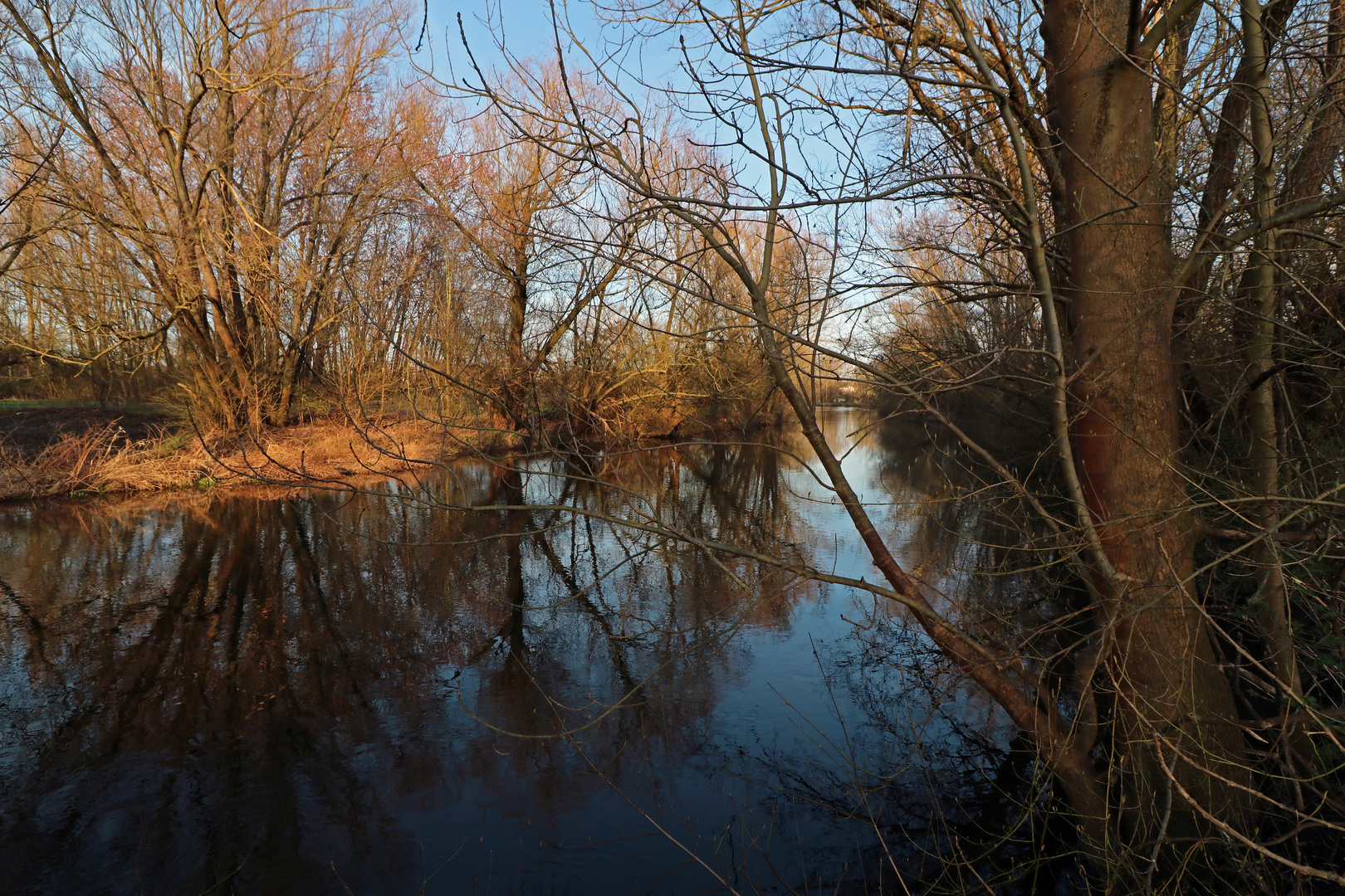 Flussufer im Licht