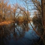 Flussufer im Licht