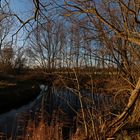 Flussufer im Winterlicht