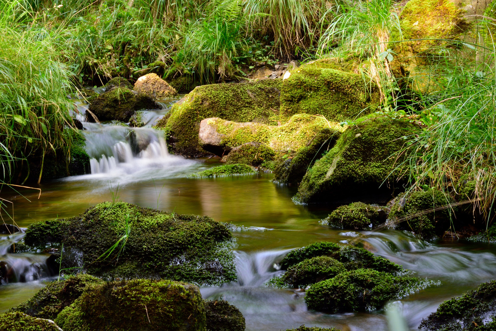 Flussverlauf Radautal