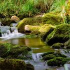 Flussverlauf Radautal