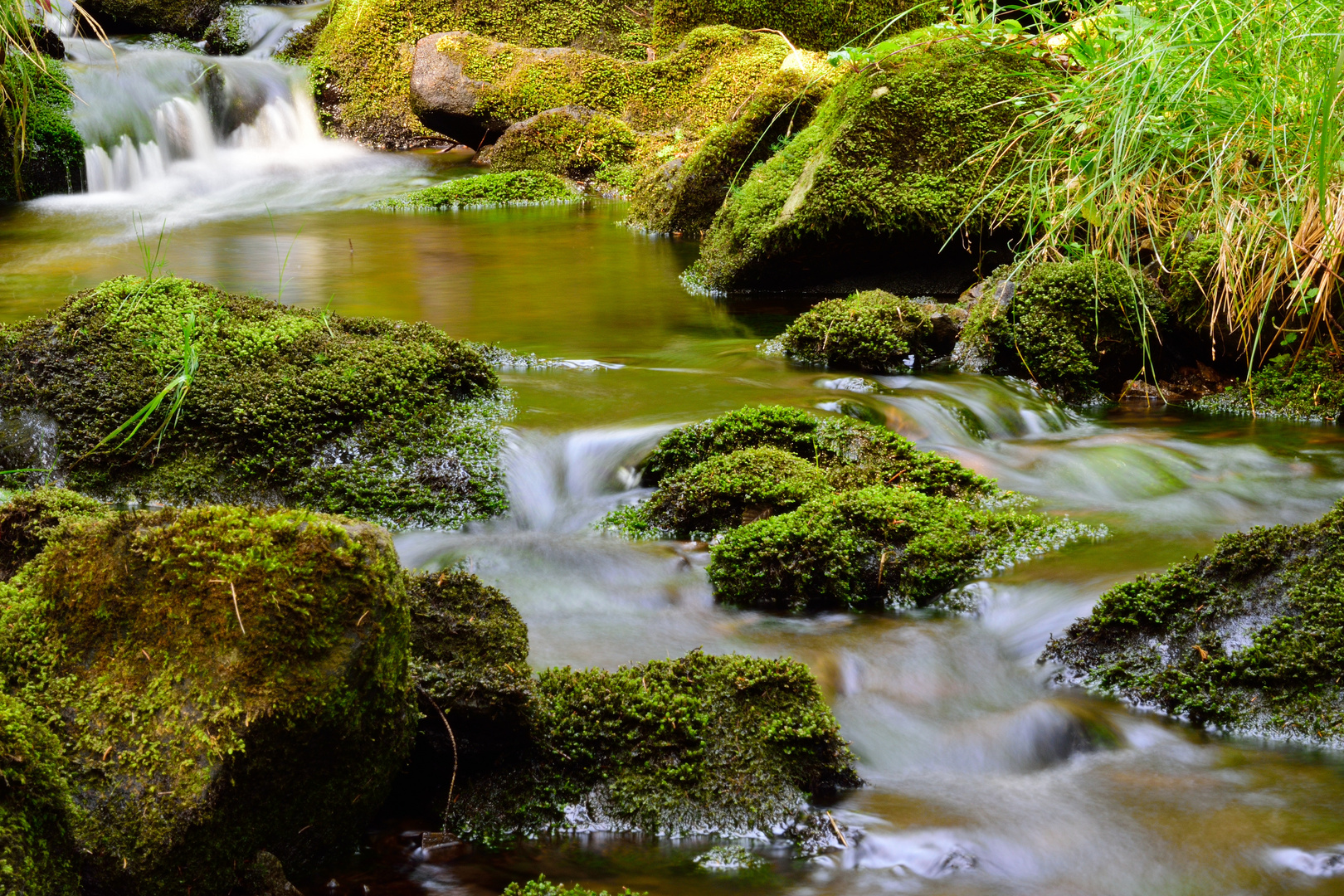 Flussverlauf Radautal_2