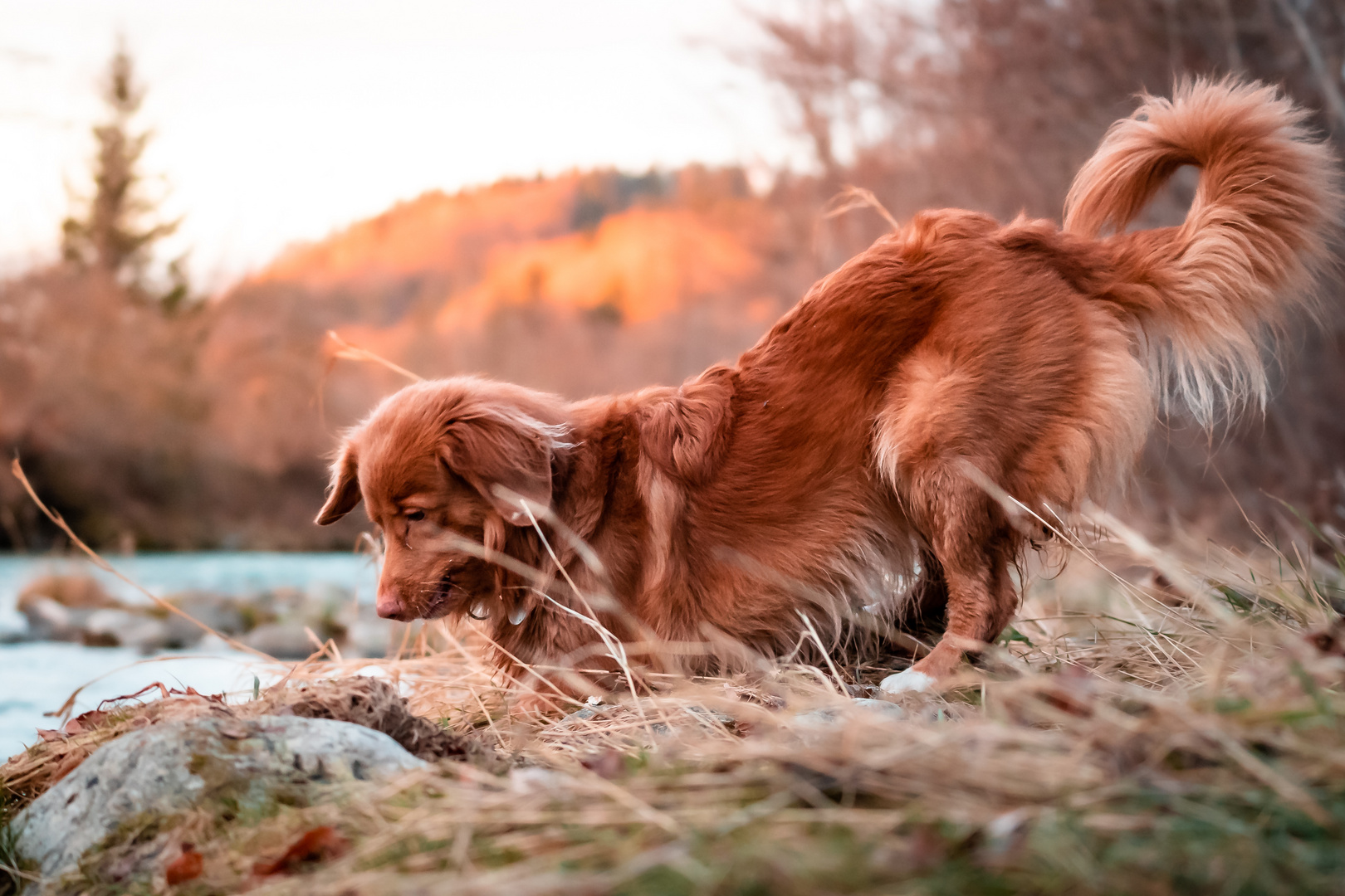 Flusswanderung