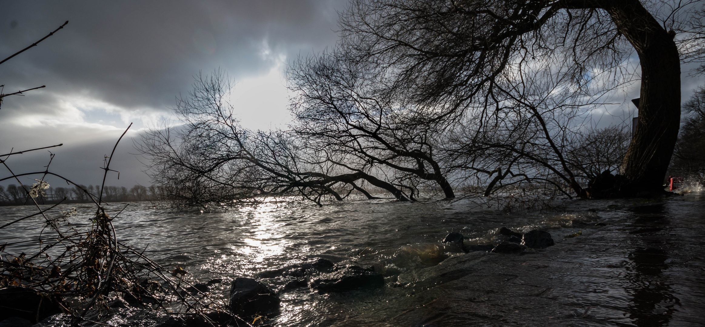 Flut an der Elbe