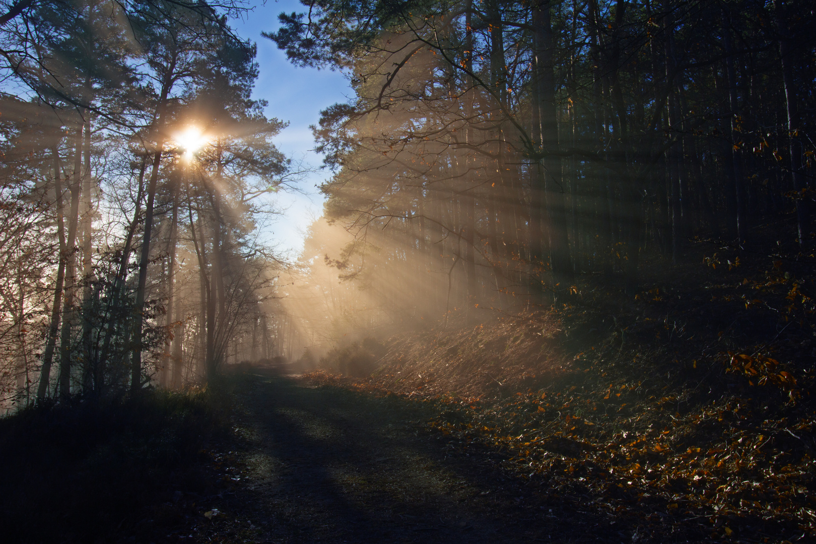 Flutlicht