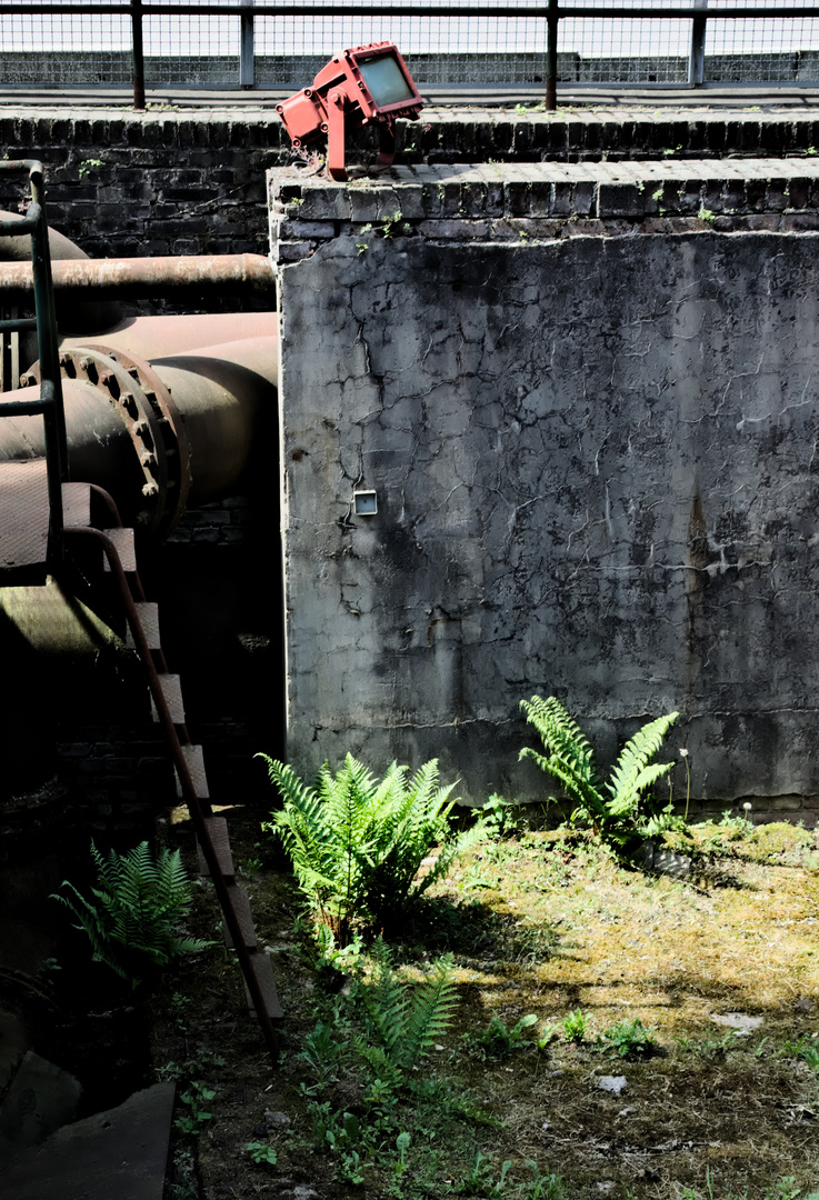 Flutlicht Foto & Bild | zaun, natur, mauer Bilder auf fotocommunity
