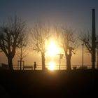 Flutlicht am Bodensee spiegelt seine Kraft