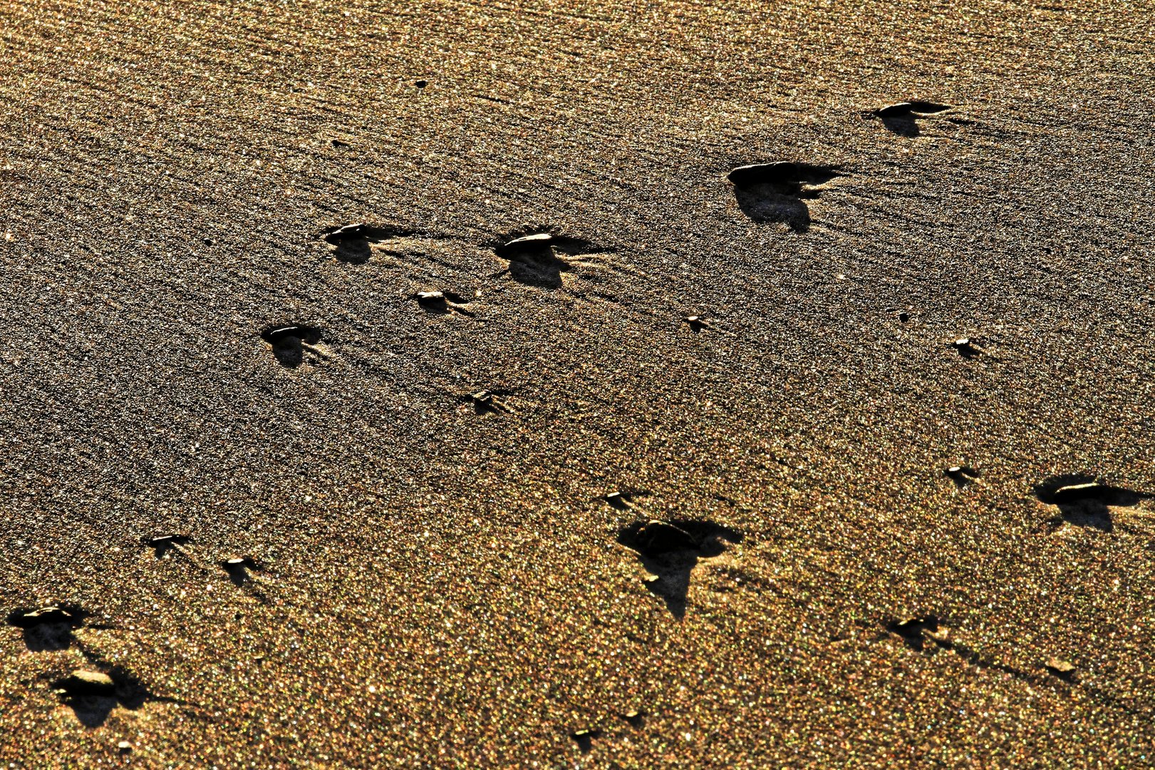 Flutsaum im Abendlicht