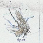 fly-art_2