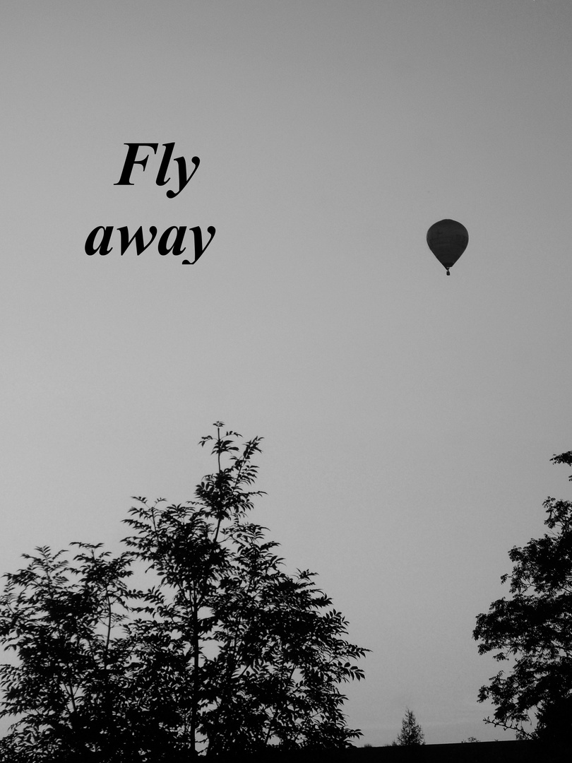 Fly Away