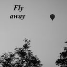 Fly Away