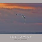 Fly away