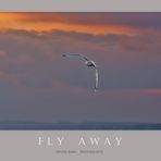 Fly away