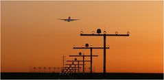 fly away